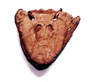 Tiktaalik skull full front