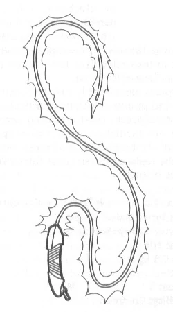 NeuronicWhip