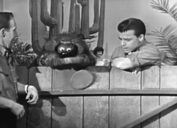 Rowlf pancakes.JPG