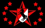 Blackhorse flag.jpg