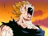 Vegeta self destructions.jpg