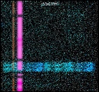 Metsitecores