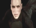 Voldemort HBP.JPG