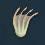 Cílios.png