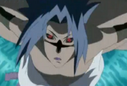 Sasuke-Cs2