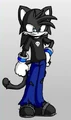 Claws the Cat