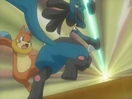 EP537 Buizel esquivando más rápido gracias a nado rápido