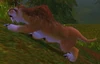 Hulking Mountain Lion