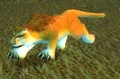 Savannah Cub.jpg