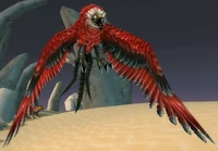 Searing Roc