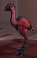 Mulgore Hatchling.jpg