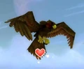 Tickbird Hatchling.jpg