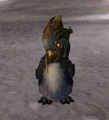Pengu.jpg