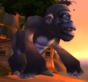 Bananas