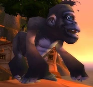 Bananas