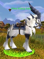White Riding Talbuk