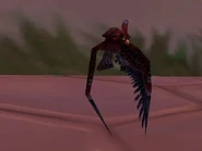 Blood Parrot