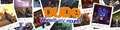 DWMM-Banner.png