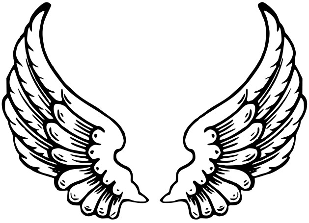 Angelic Wings Drawings