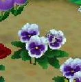 Disguise.jpg
