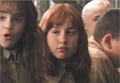 SusanHerb.PNG