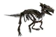 Dracorex.jpg