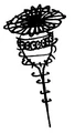 Billywig.jpg