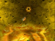Nest3