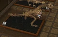 TRex.jpg