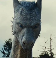 Saphira-eragon-401024 343 355
