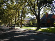 Nieghborhood view