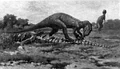 Allosaurus4.jpg