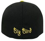Bigface-cap-bigbird2
