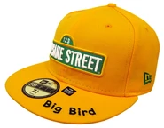 Sesame-sign-bigbird