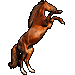 Western mustang 75x75