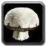 Inv mushroom 12.png