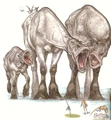 Falumpasets