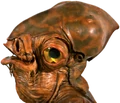 Species-stub.png