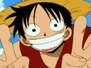 Wall luffy5 500