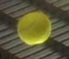 Tennisball Filz.jpg (5 KB) Tennisball Filz