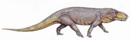 Prestosuchus11DB