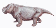 Sthalekeria1DB