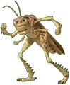 Chr hopper.gif