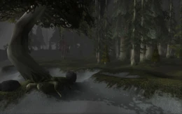 DarkshoreBeach.jpg