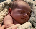 Spock, infant.jpg