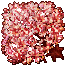 Cherry Blossom Tree