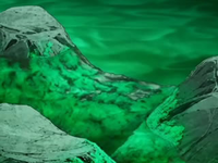 EP558 Algas en las rocas