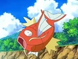 EP560 Magikarp