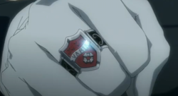 Squalo's Ring