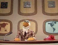 Mallard-itis.JPG